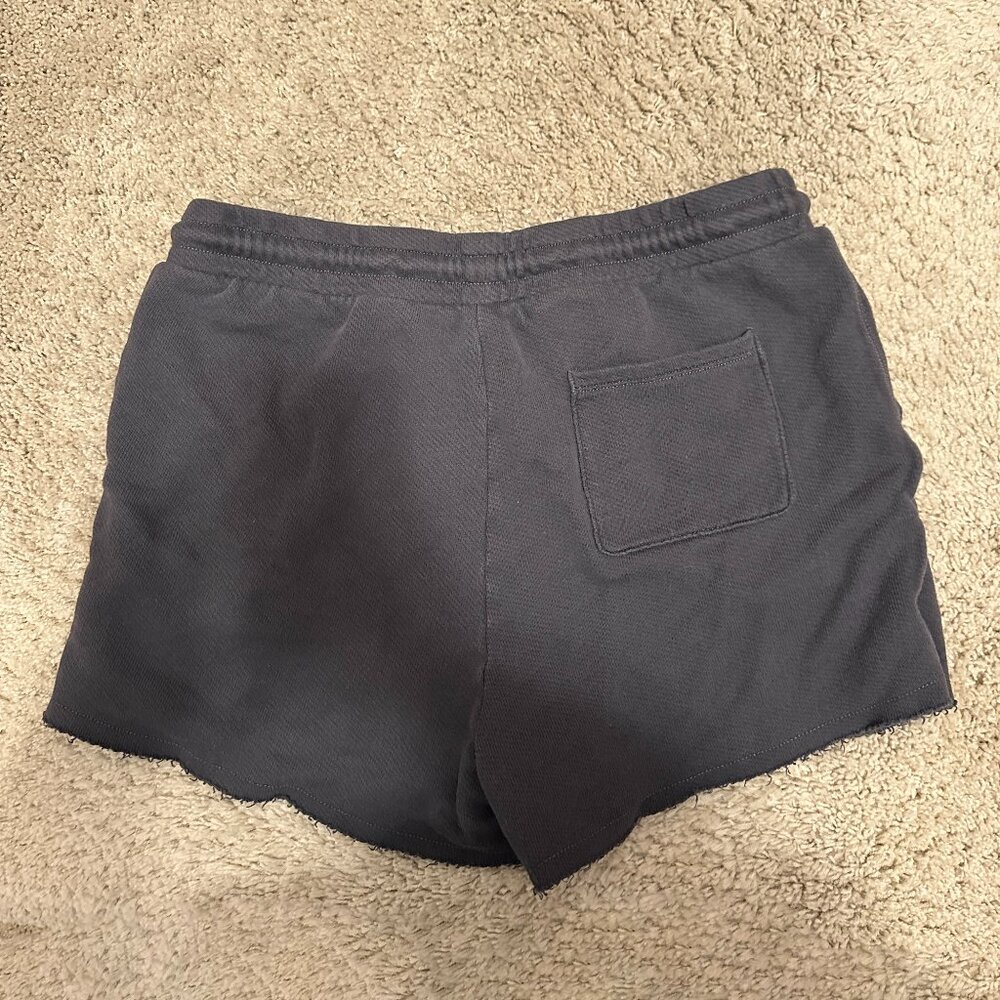 American Eagle AE Fleece Boyfriend Short Size Large - Picture 2 of 4
